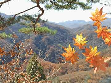 美丽生态股票最新消息深度解读报告